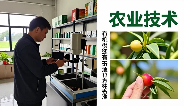 项目包括农业时代下农业物联网监测系统应用价值分析